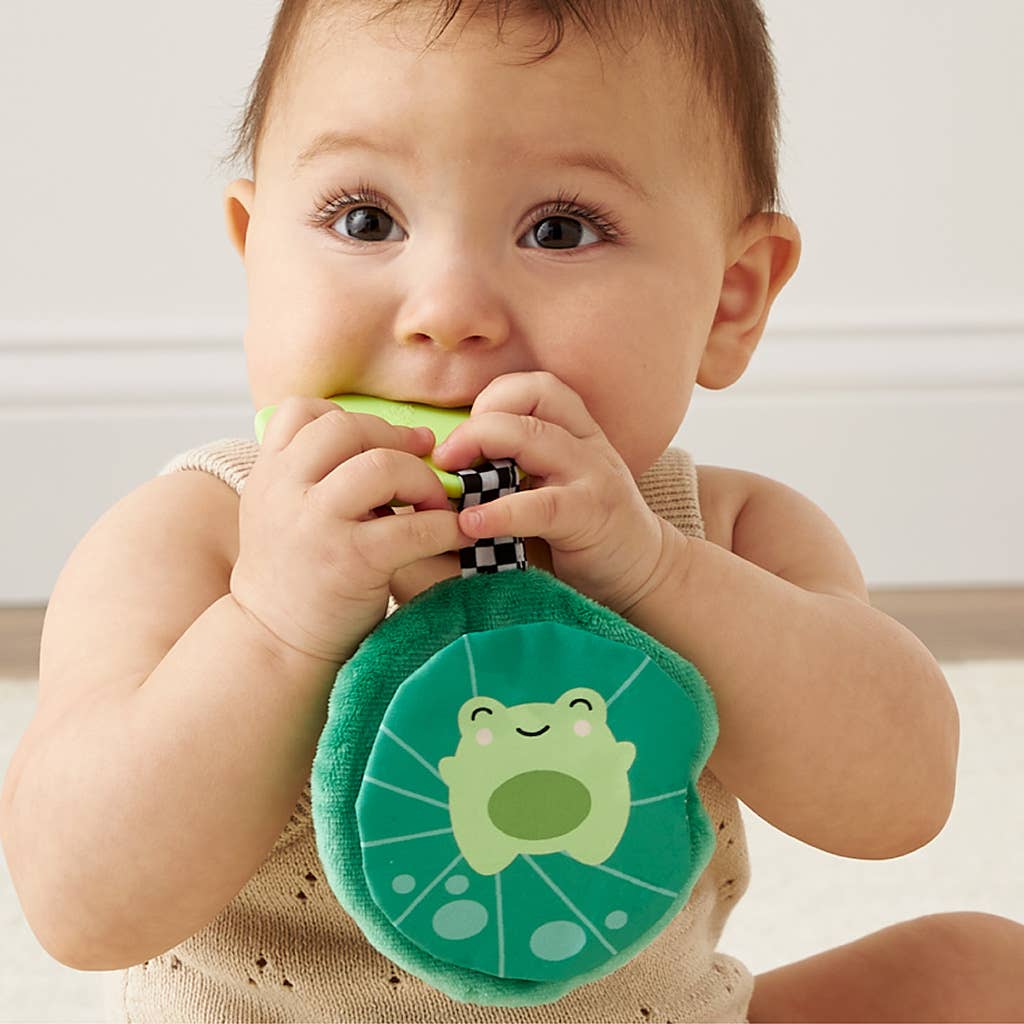 Itzy Ritzy - Sweetie Crinkle: Frog Silicone Teether
