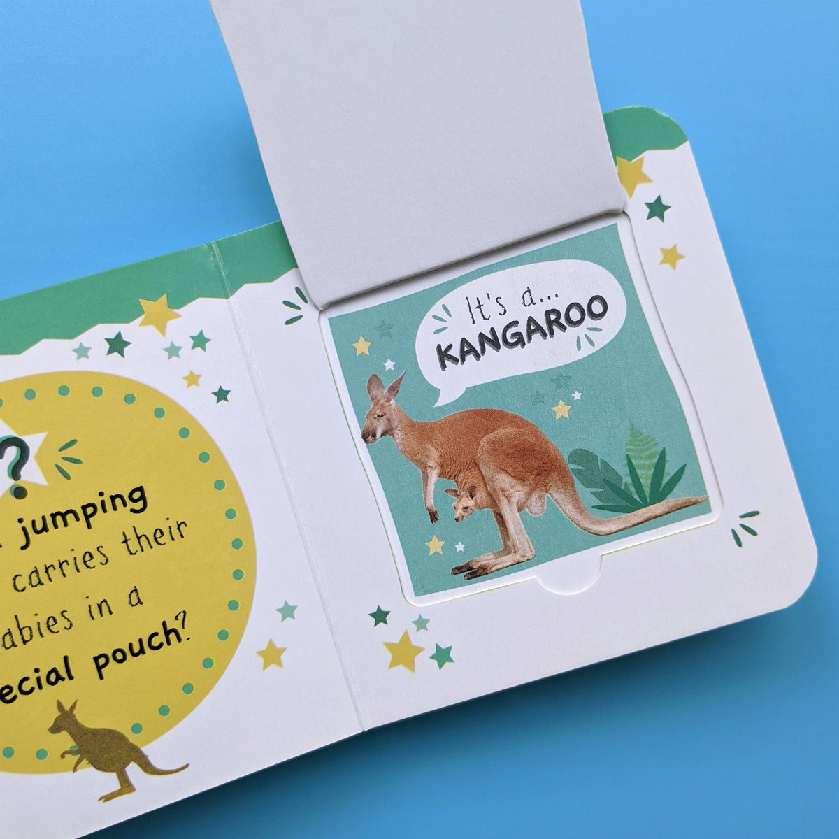 Robert Frederick Ltd - Little Wonders My First Mini Lift The Flap Book