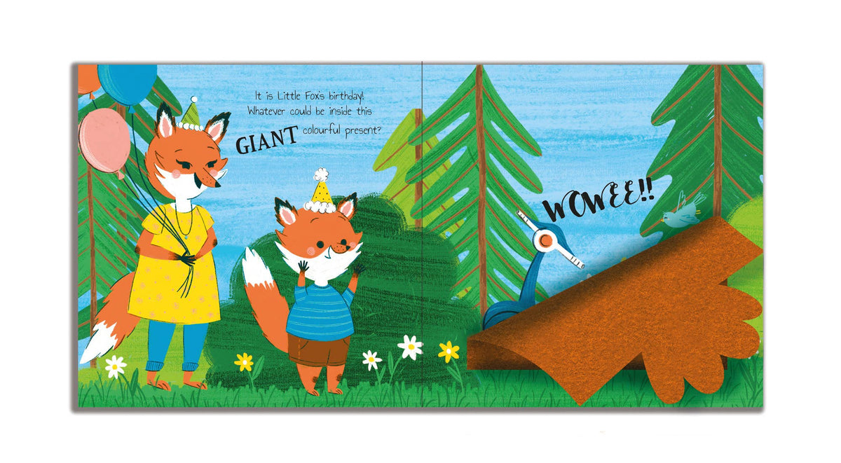 Robert Frederick Ltd - A Peekaboo Story! It'S My Birthday!