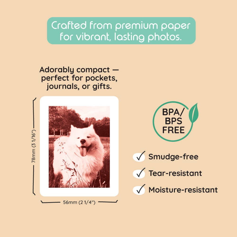 kiimento - Print Pack 40 Prints | For Model P2