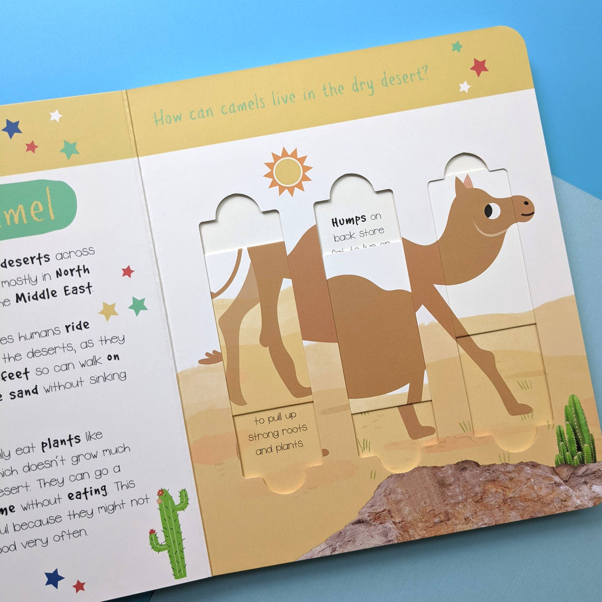 Robert Frederick Ltd - Little Wonders Puzzle Slider Books - Desert Animals