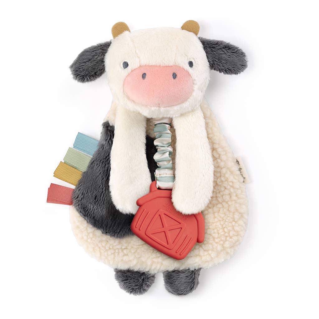 Itzy Ritzy - Itzy Friends Lovey Plush