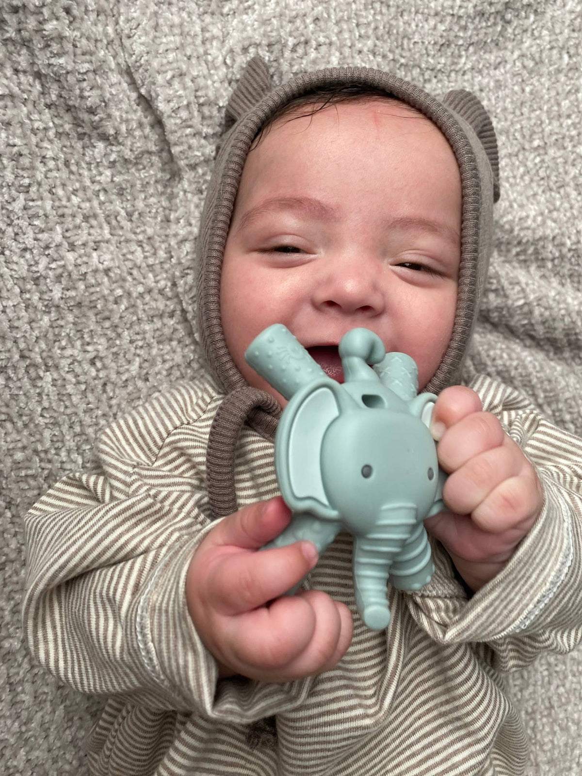 Itzy Ritzy - Ritzy Teether Baby Molar Teether: Lion