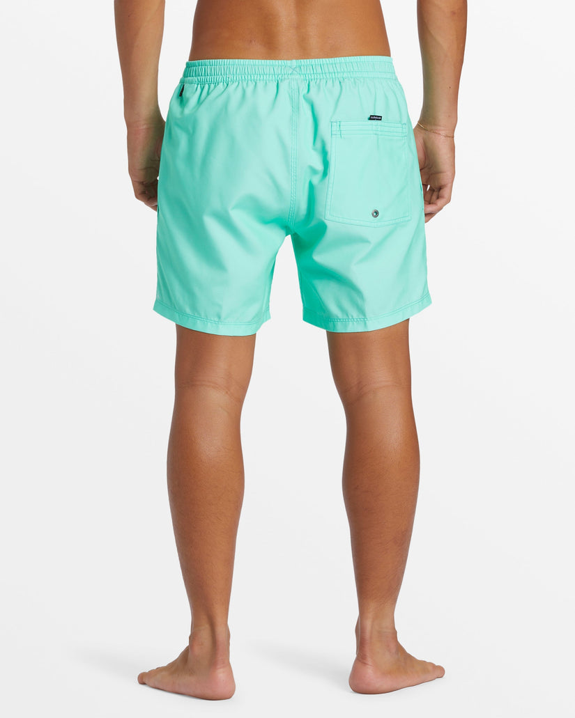 Quiksilver - Everyday Volley Boy Swim Trunks - Beveled Glass