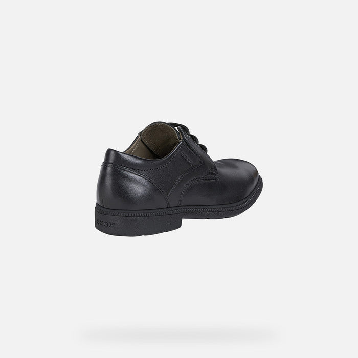 Geox Federico Derby Style Lace Up Dress Shoe