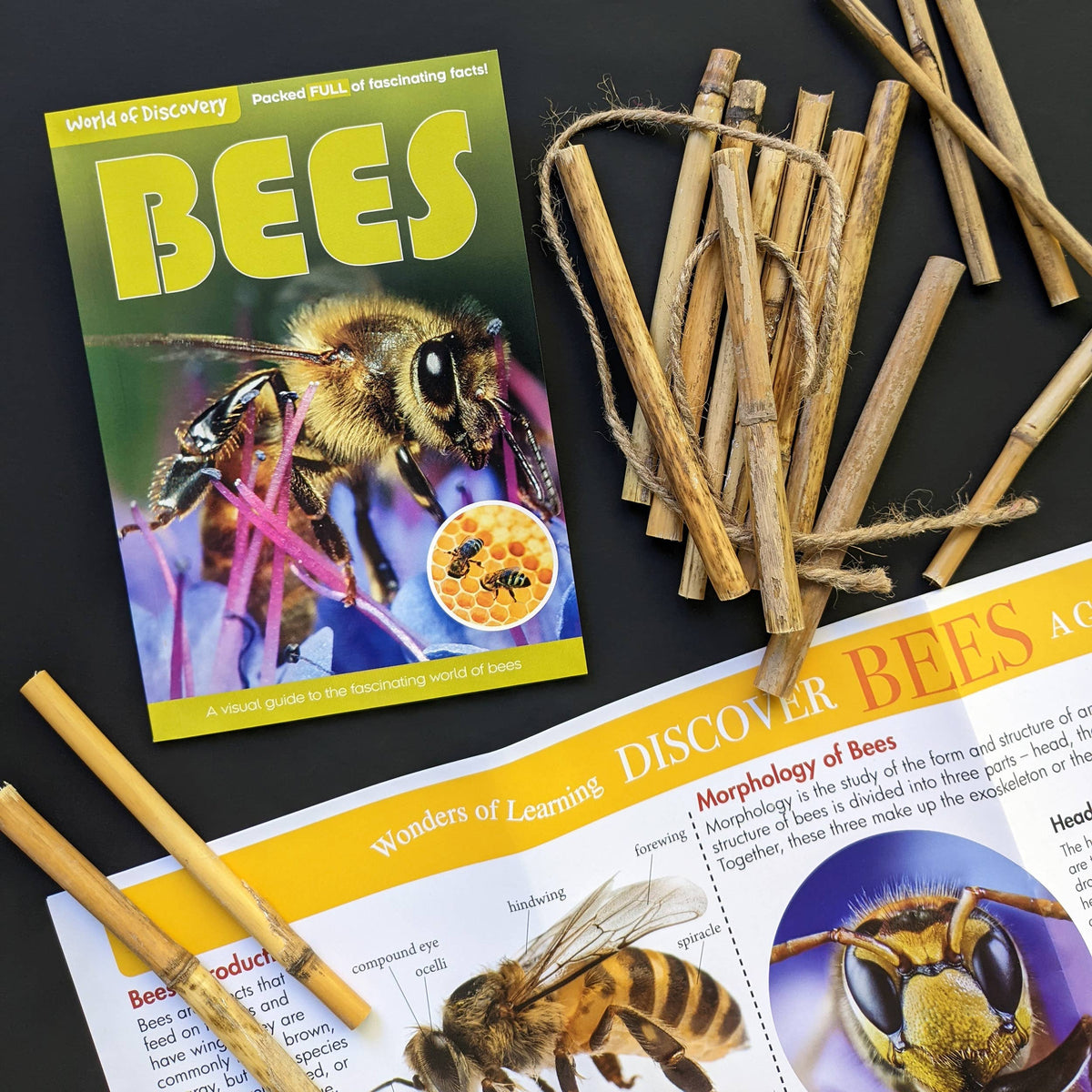 Robert Frederick - World Of Discovery Box Set - Bees