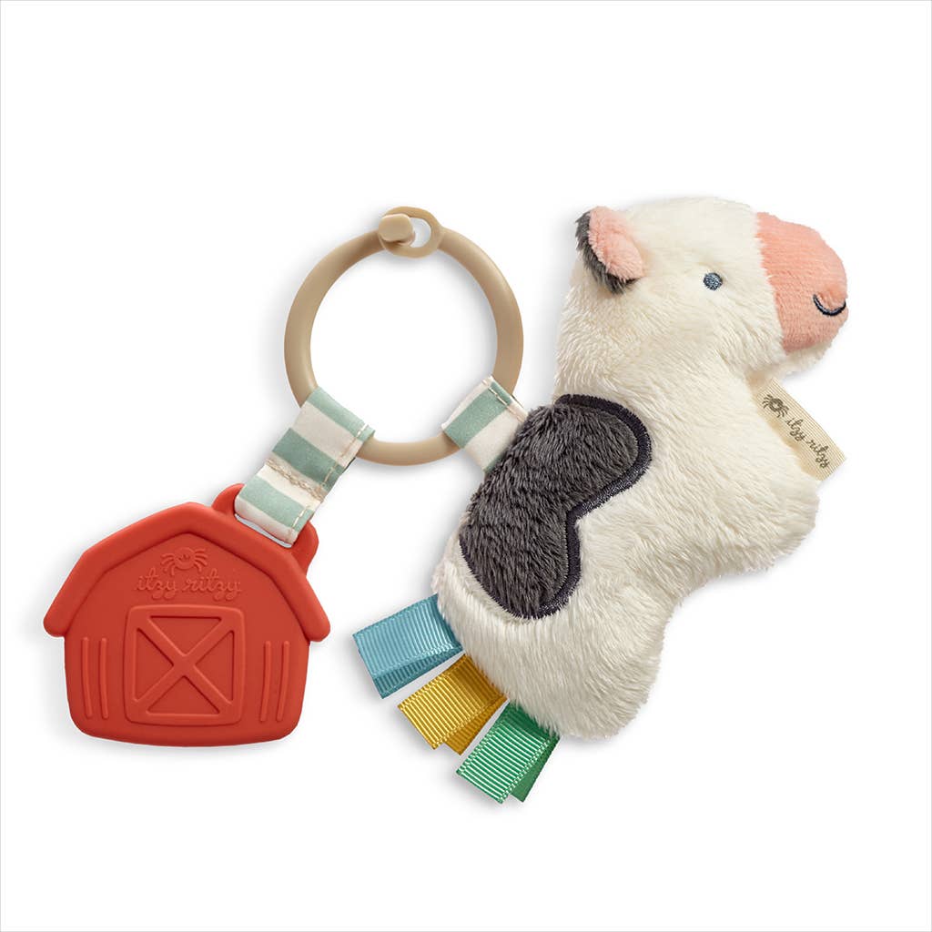 Itzy Ritzy - Itzy Pal Plush & Teether