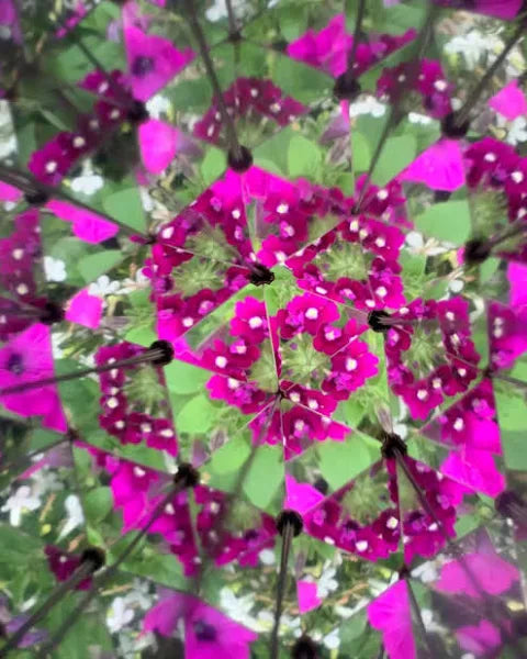 Huckleberry - Kaleidoscope
