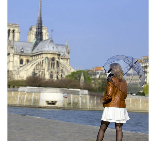 Why We Carry Smati Umbrellas: The Best Choice for Rainy Days