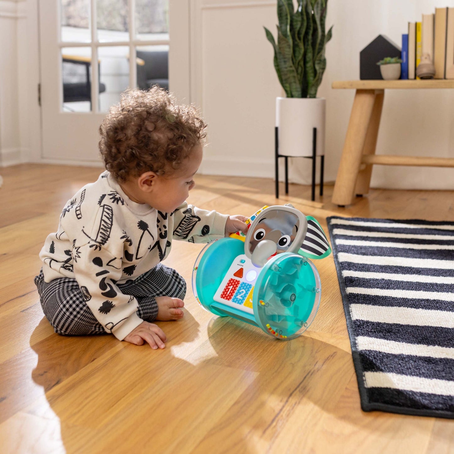 BABY EINSTEIN - Chase + Tap Earl Interactive Crawling Toy
