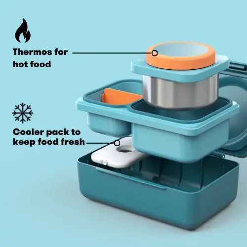 OmieLife - OmieBox UP Bento: Teal Green