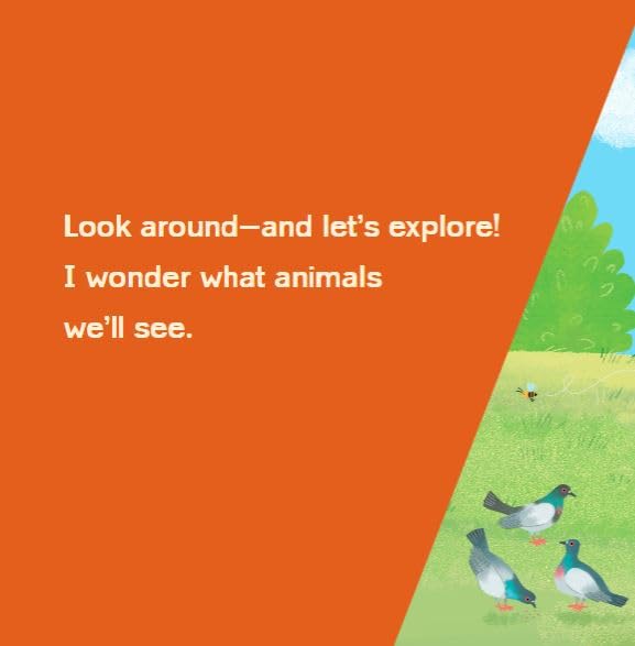 Curious Me!: Animals by Alison Behnke & Mirella Mariani