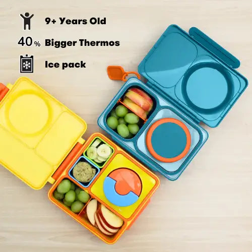 OmieLife - OmieBox UP Bento: Teal Green