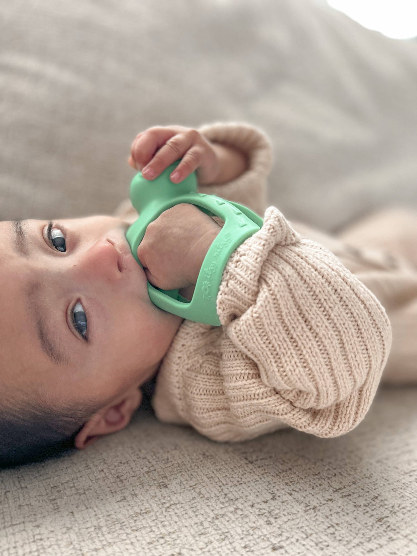 Itzy Ritzy - Bitzy Grip: Dino