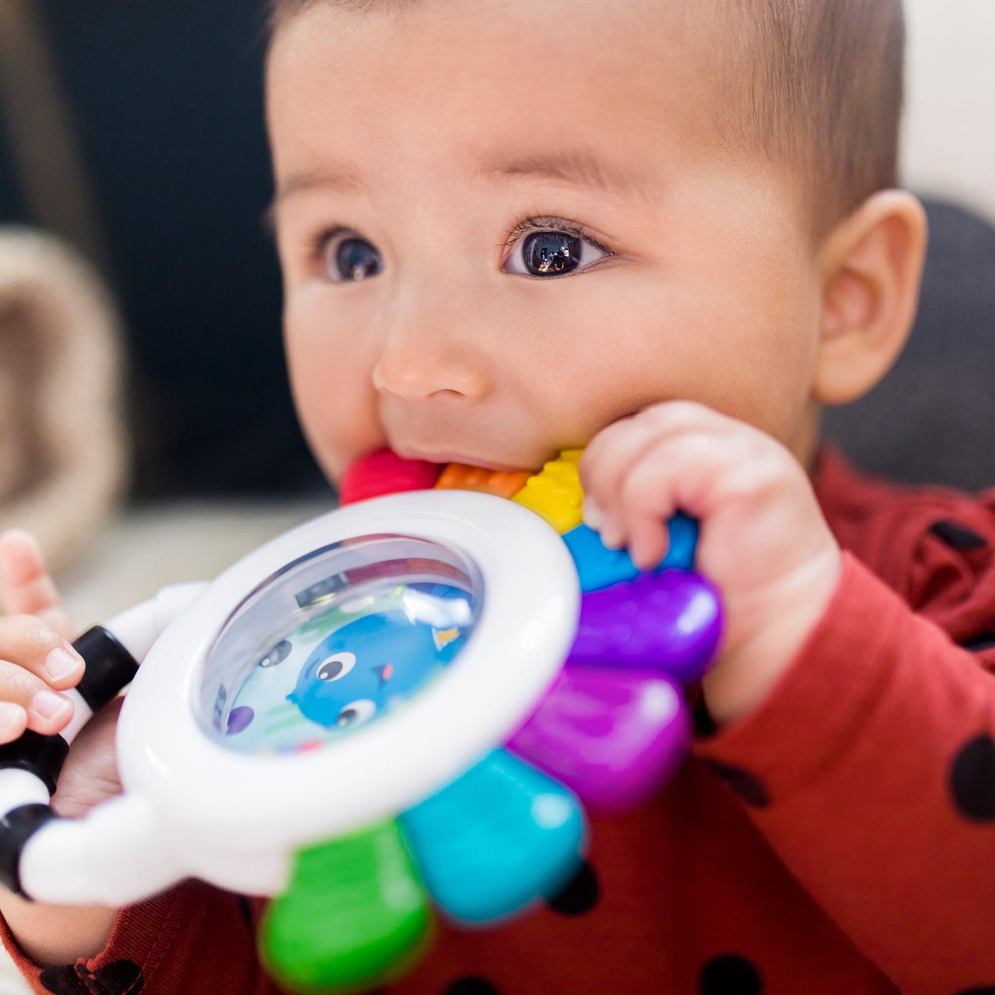 BABY EINSTEIN - Outstanding Opus™ Sensory Rattle & Teether