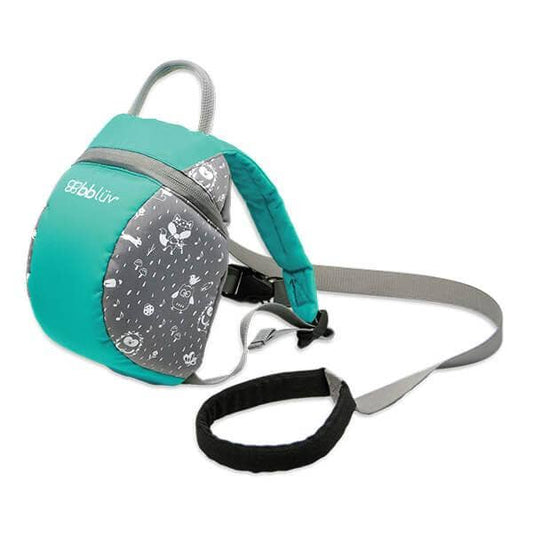 Teal and gray backpack with leash on a white background