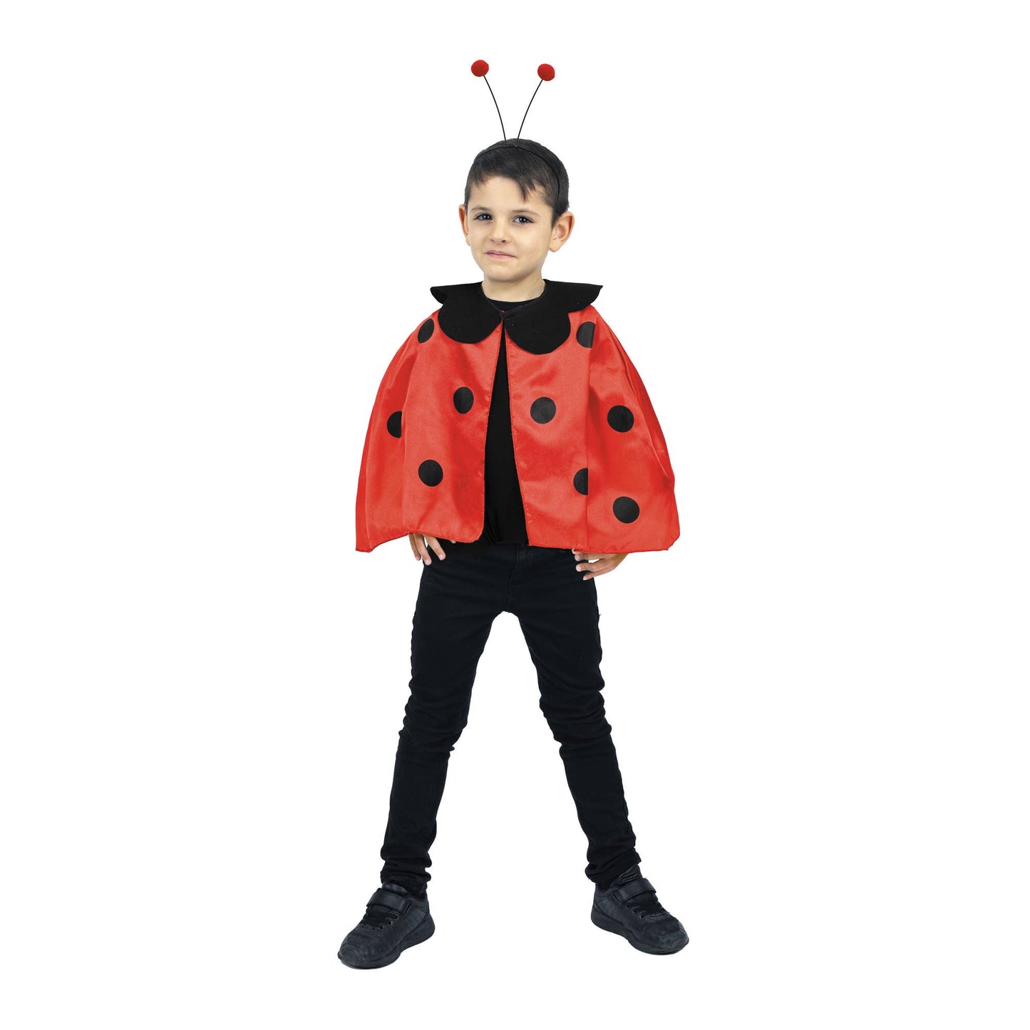 Party Pro - LADYBUG SET