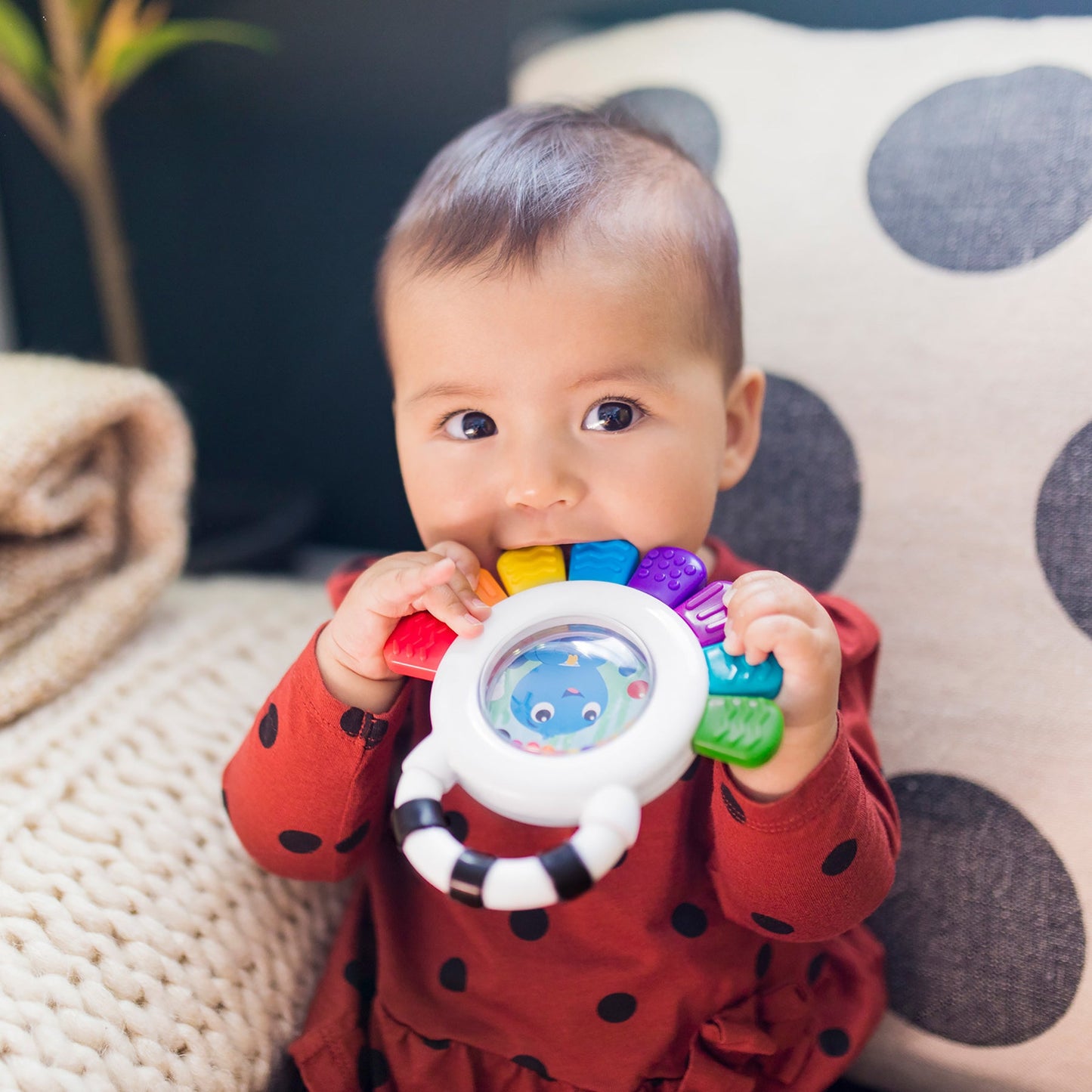 BABY EINSTEIN - Outstanding Opus™ Sensory Rattle & Teether