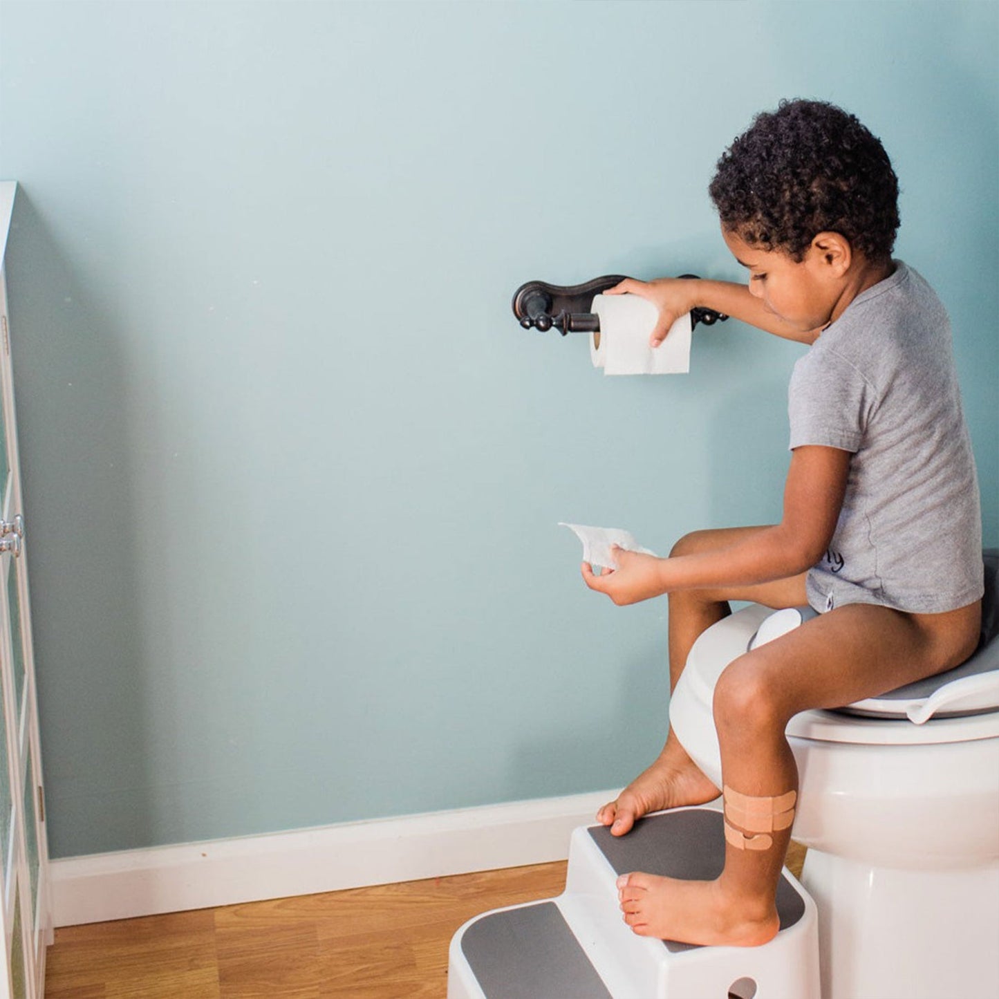 Prince Lionheart - Tinkle® Trainer