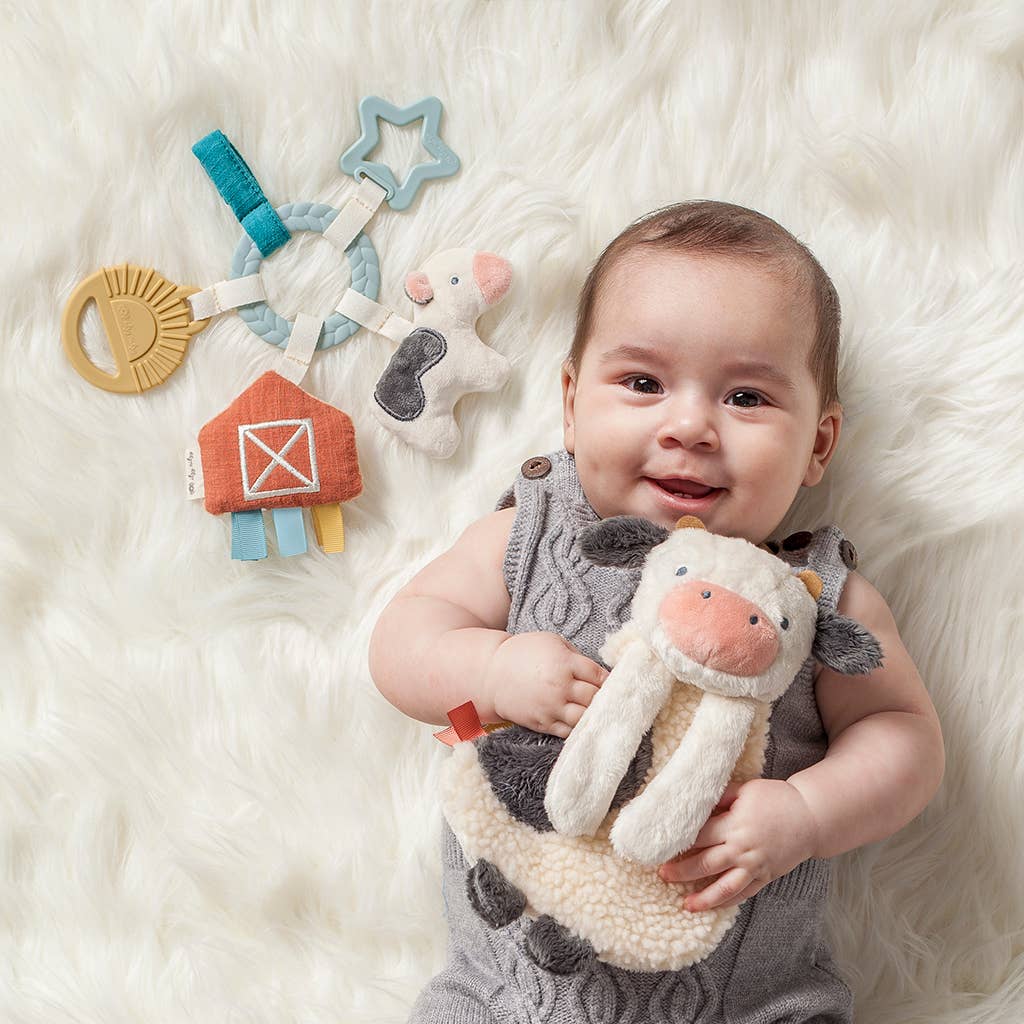 Itzy Ritzy - Bitzy Busy Ring™ Teething Activity Toy: Bunny