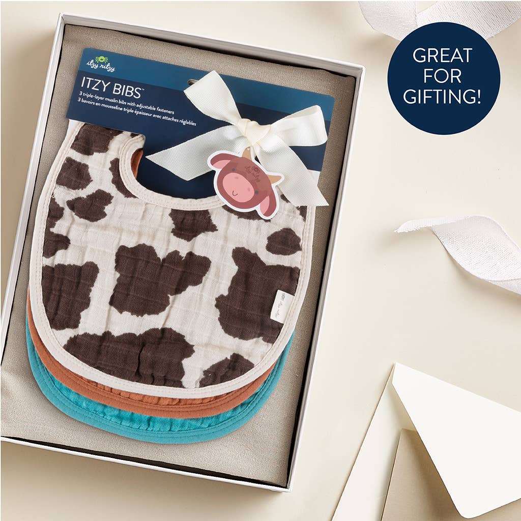 Itzy Ritzy - Itzy Bibs™: Strawberries + Cream