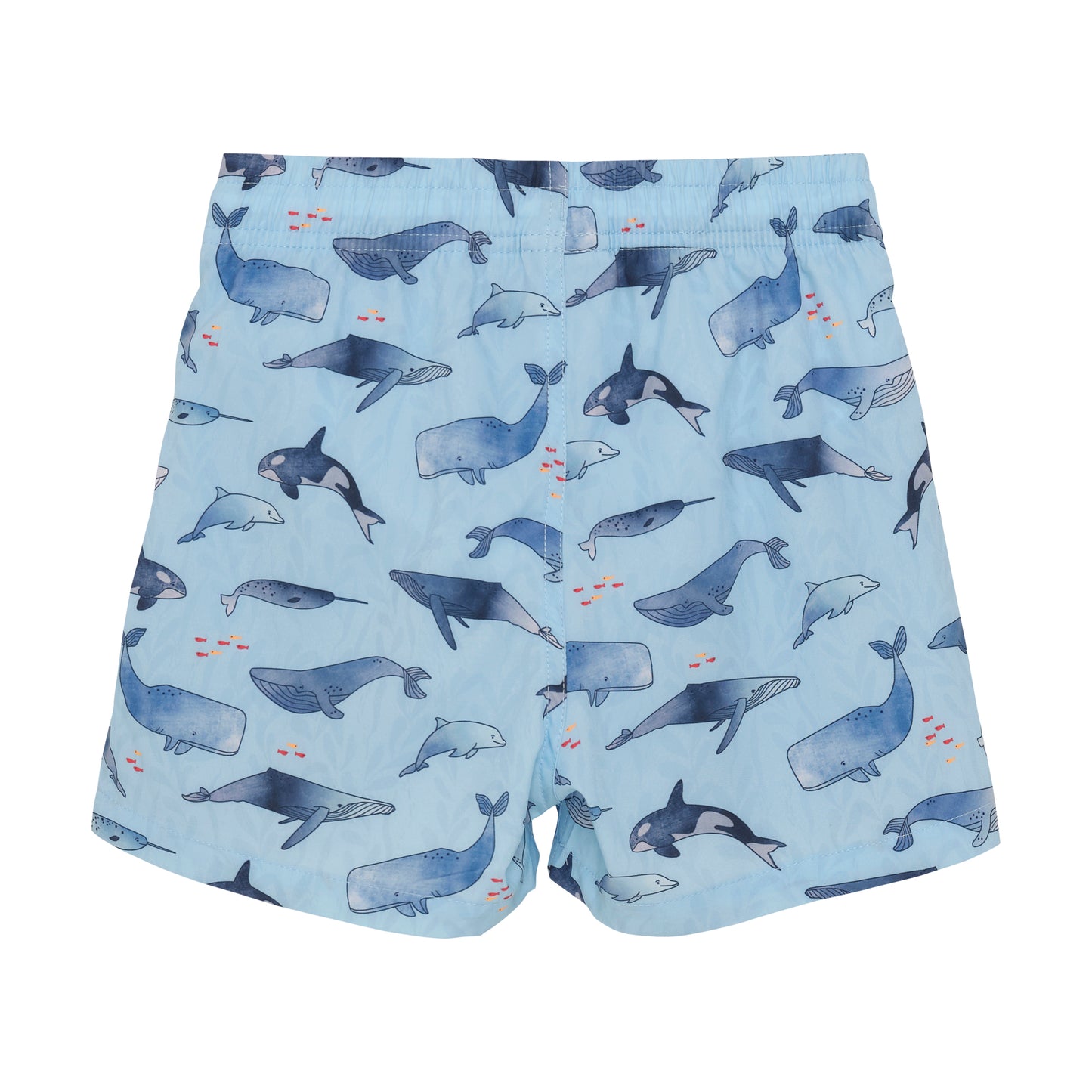 Color Kids Swim Shorts - Whale - 6Y