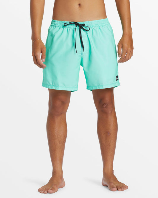 Quiksilver - Everyday Volley Boy Swim Trunks - Beveled Glass