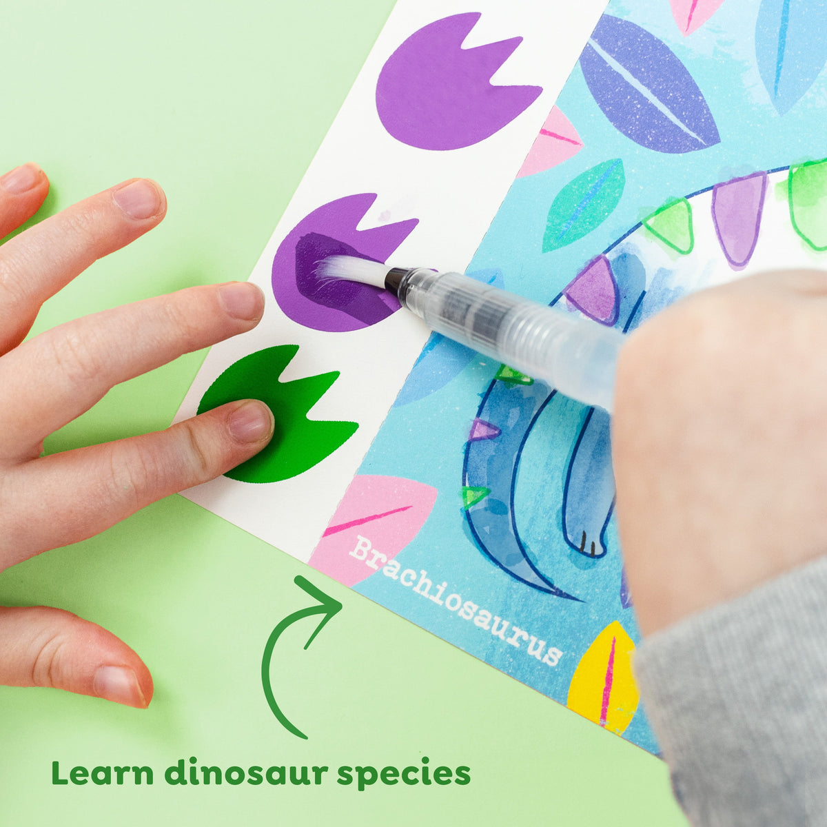Tiger Tribe Paint a Picture Set Dinosaurs