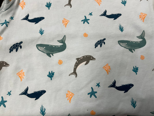 Coccoli Long Sleeve Modal Pyjama Set - 2Y