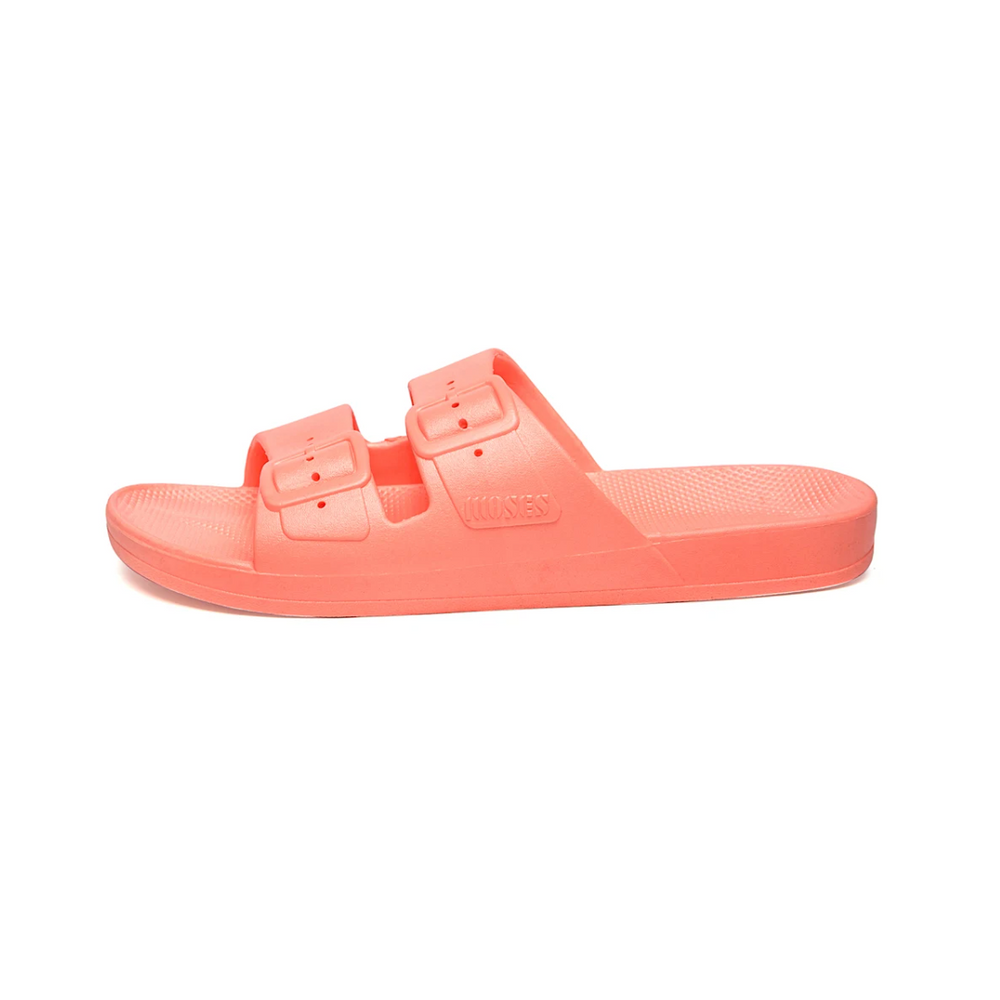 Freedom Moses Basic Slide