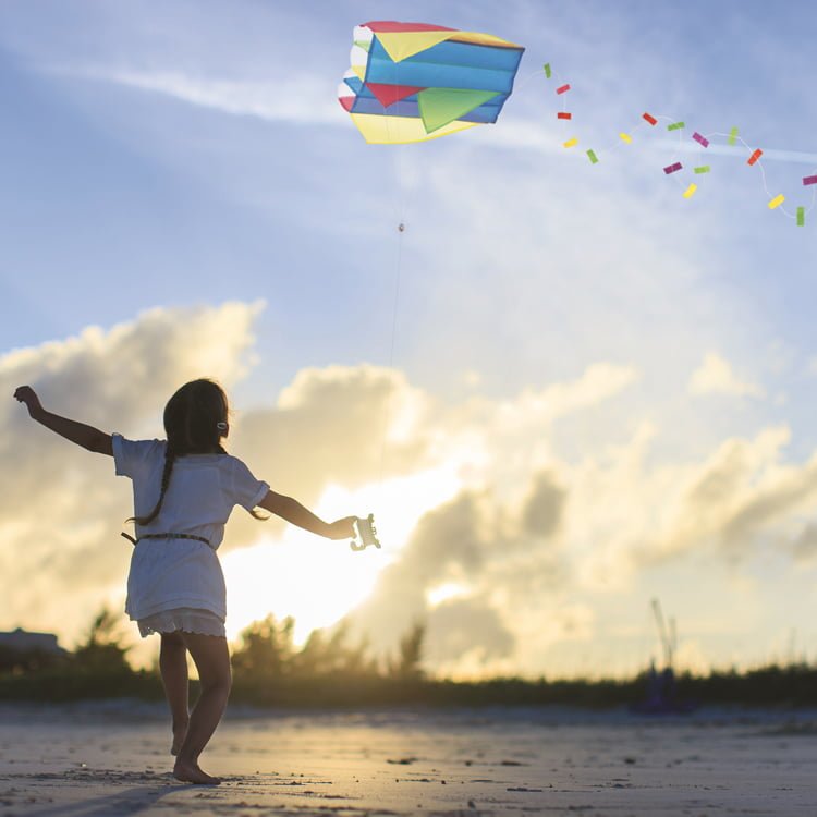 House Of Marbles-Mini Pocket Kite