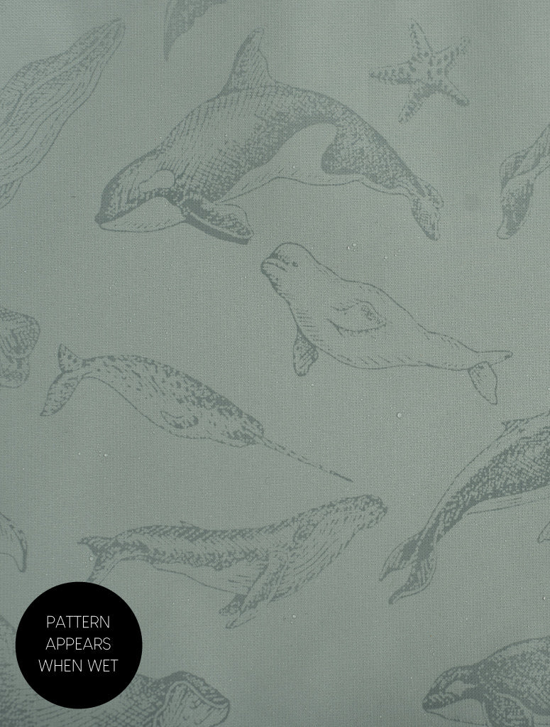 Therm Kids - Splashmagic Rainshell