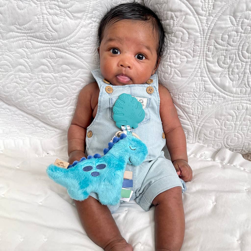 Itzy Ritzy - Itzy Pal™ Plush + Teether: Rainbow