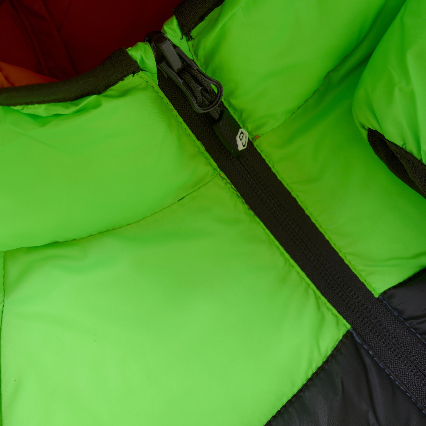 Color Kids Jacket w/Hood Quilted Puffer  Green Gecko