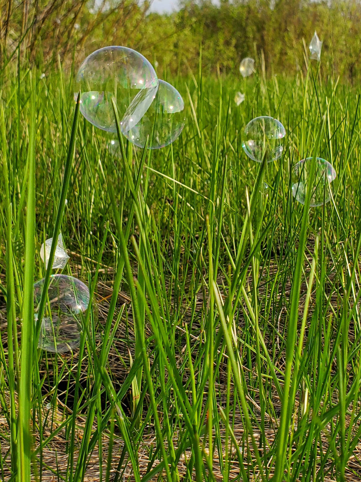 Wishbone Products - Crazy Catchables Bubble Storm with Solution