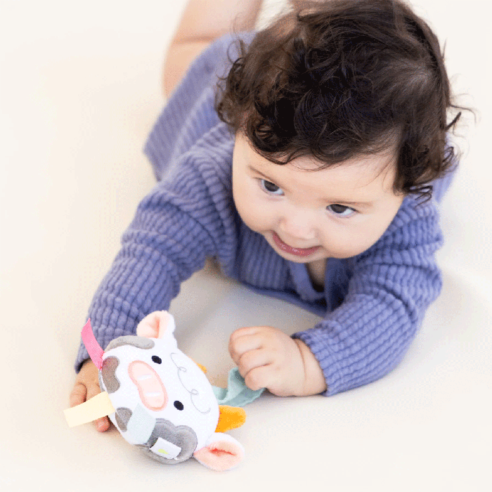 Pearhead Learning Kit (0-6 months)