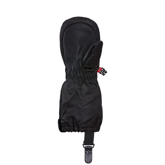 Kombi THE CRAZY CARIBOO CHILDREN